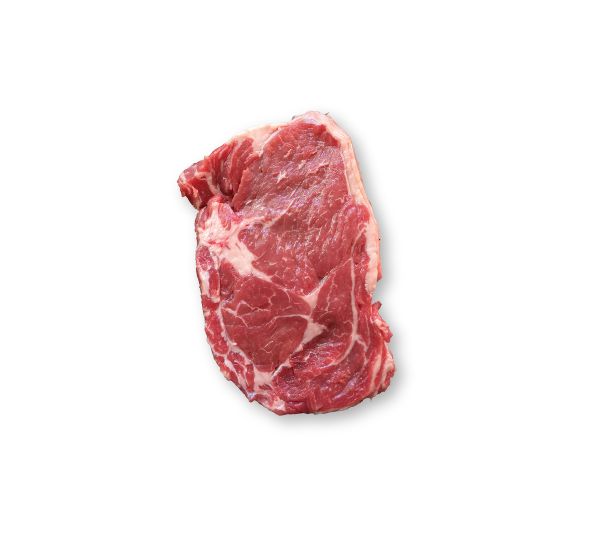 fresh meat specials south africa